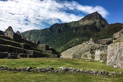 © Agathe Pigeaud - Machu Picchu - Pérou Machu Picchu - Pérou