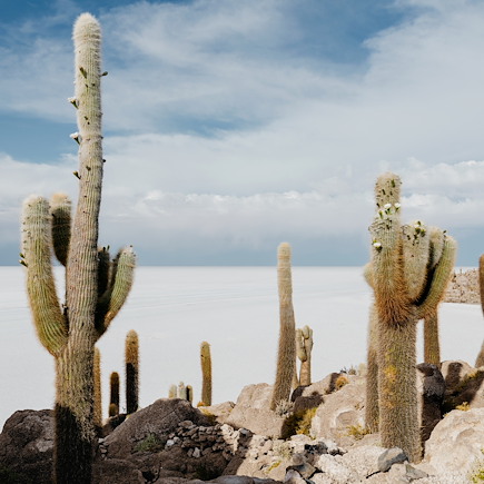 Randonnée Pérou Uyuni et Sud Lipez