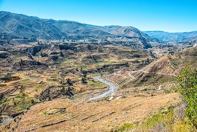 © Pauline Cornil - Canyon de Colca - Pérou Canyon de Colca - Pérou