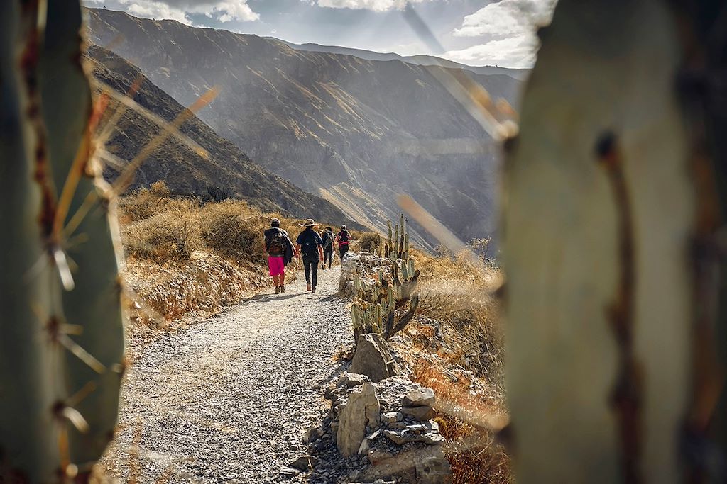 Image Trek Canyon De Colca - Nuit Chez L'Habitant Llachon - Trek Machu Picchu - Visite Cusco