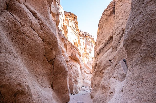 © jon_chica / Adobe Stock