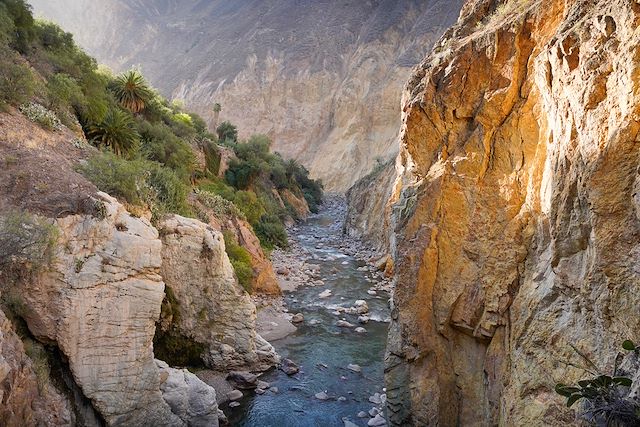 © TG23 / Getty Images