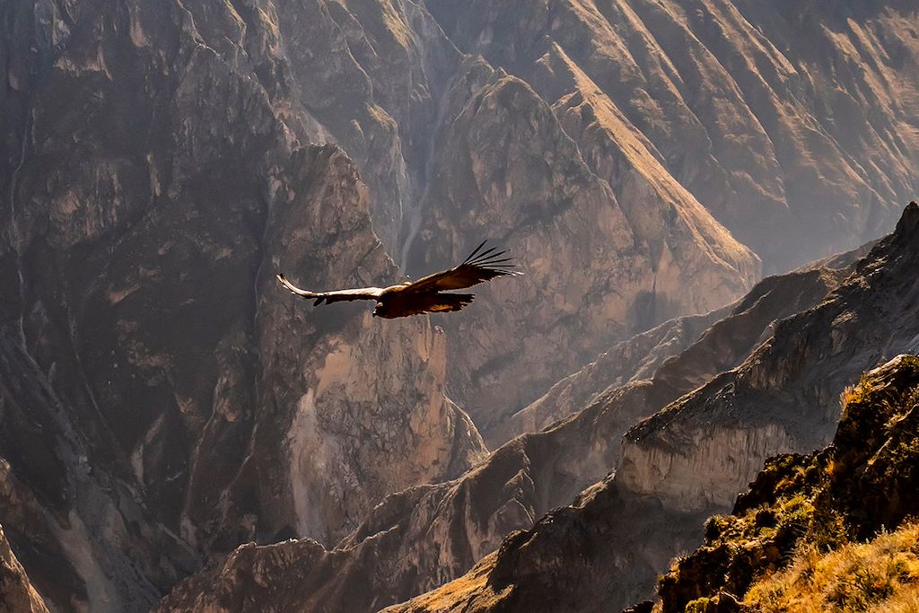 Image Trek Canyon De Colca - Nuit Chez L'Habitant Llachon - Trek Machu Picchu - Visite Cusco