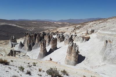 © Emilia Bolton / Alamy / Hemis - Forêt de pierre Puruna dans l'Altiplano près d'Arequipa - Pérou Forêt de pierre Puruna dans l'Altiplano près d'Arequipa - Pérou