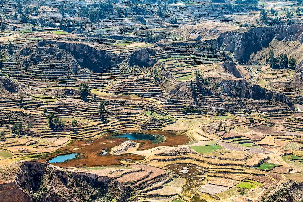 Image Trek Pérou - Randonnée Machu Picchu - Trek Canyon de Colca