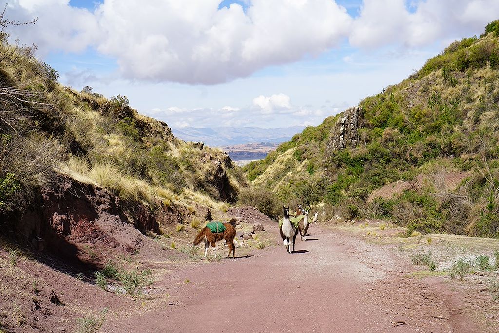 Image Trek Pérou - Randonnée Machu Picchu - Trek Canyon de Colca