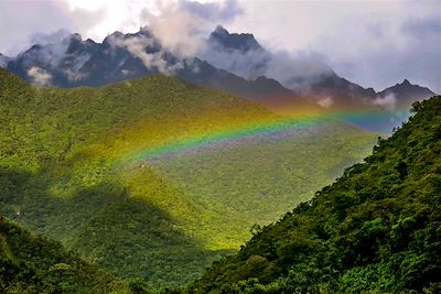 © Yann Guiguen - Région de Cusco, route vers Santa Teresa - Pérou Région de Cusco, route vers Santa Teresa - Pérou