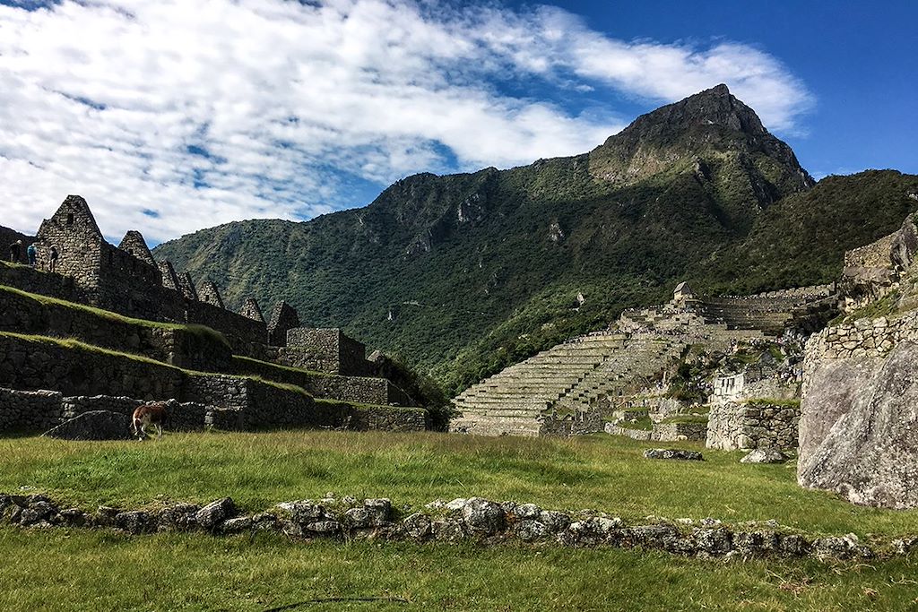 Image Trek Cusco - Choquequirao