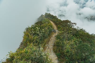 Le Machu Picchu 
