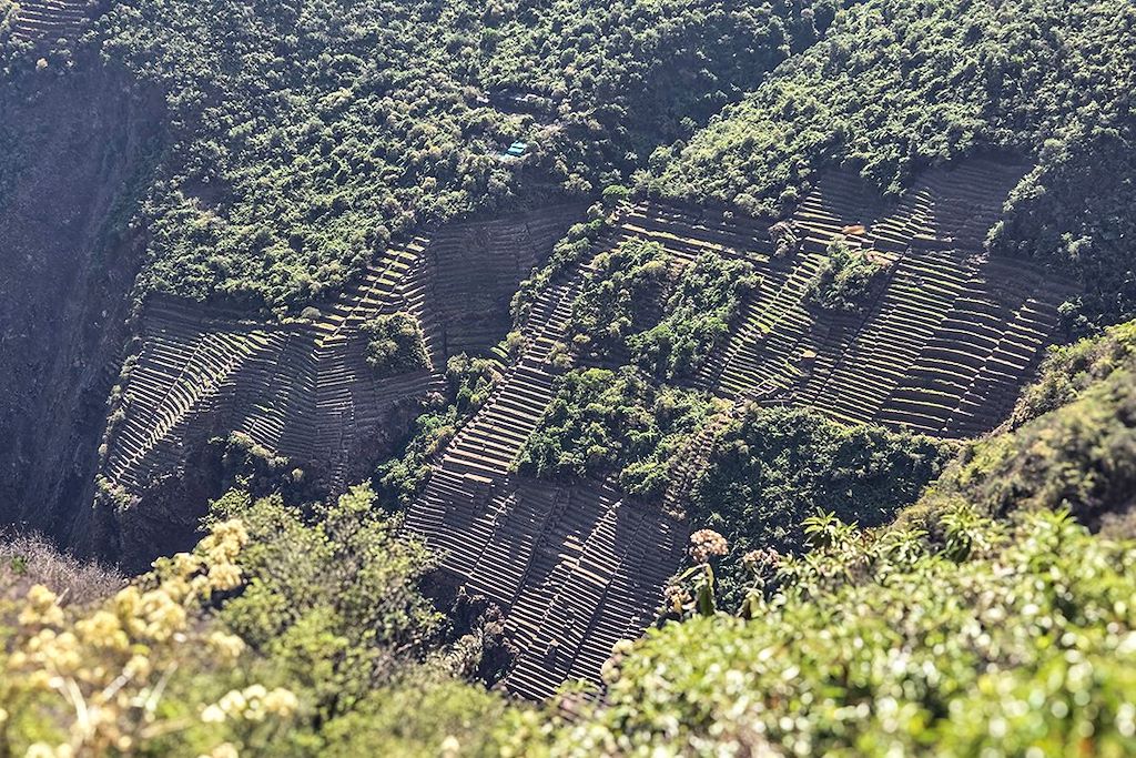 Image Trek Cusco - Choquequirao