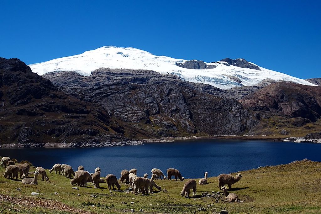 Image Trek Perou - Siula Grande - Cordillère Noire