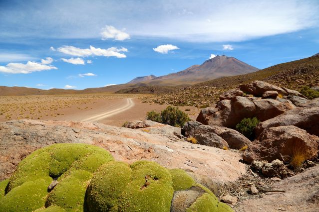 Route des joyaux - Sud Lipez - Bolivie