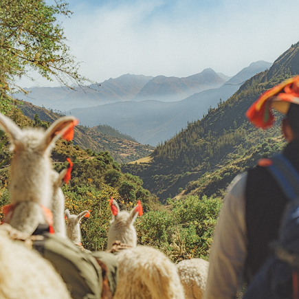 Trek Pérou Cuzco et Machu Picchu