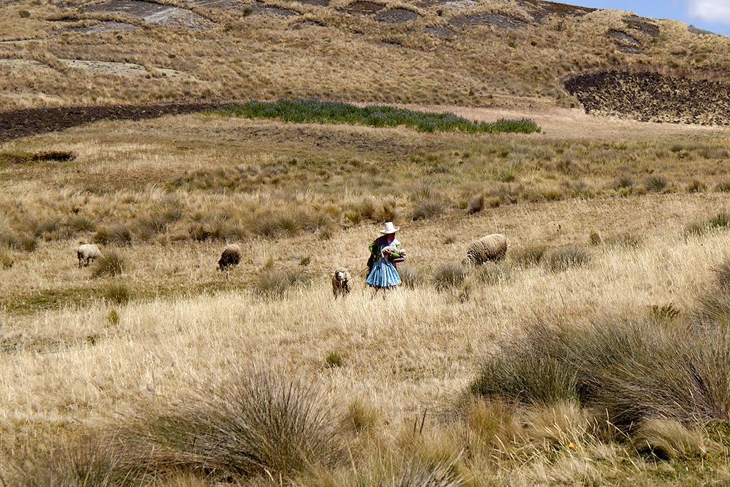 Image Trek Pérou - Grande Route Inca - Civilisations Précolombiennes - Forteresse de Kuelap