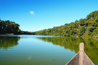 Lac Cocha Otorongo - Parc National du Manu