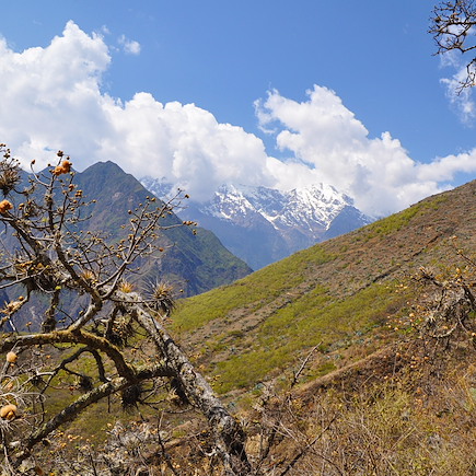 Observation animalière Pérou Arequipa et Canyon de Colca