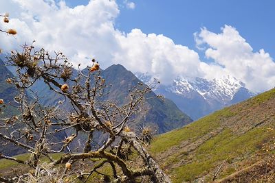 Vallée de l'Apurimac - Pérou