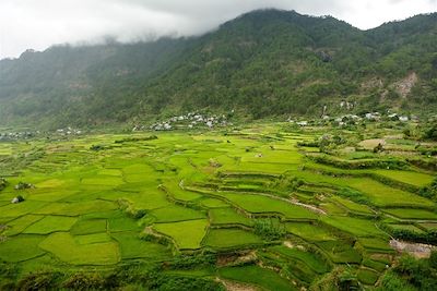 Rizières, volcans et plages paradisiaques