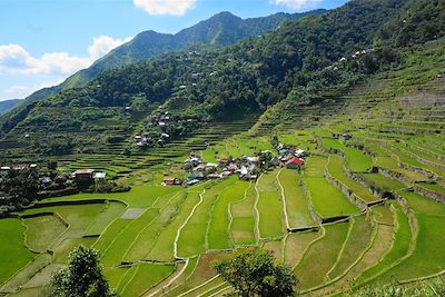 Rizières de Batad - Banaue - Province d'Ifugao - Région administrative de la Cordillère - Luçon - Philippines