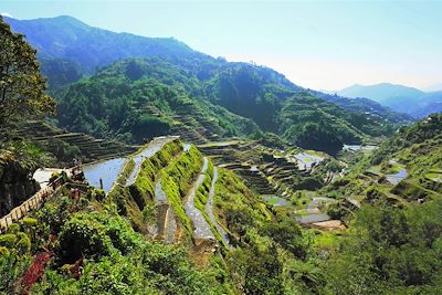 © Ibrahim Bah - Rizières de Banaue - Province d'Ifugao - Région administrative de la Cordillère - Luçon - Philippines Rizières de Banaue - Province d'Ifugao - Région administrative de la Cordillère - Luçon - Philippines