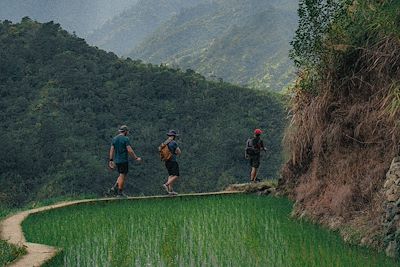 © Hugo Zely - Trek dans les rizières de Batad Trek dans les rizières de Batad