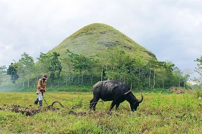 Agriculteur au pied des Chocolate Hills - Bohol - Philippines
