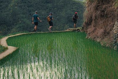 Trek dans les rizières de Batad