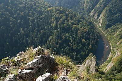 © Lukasz Kaluza - Carpates - Pologne Carpates - Pologne
