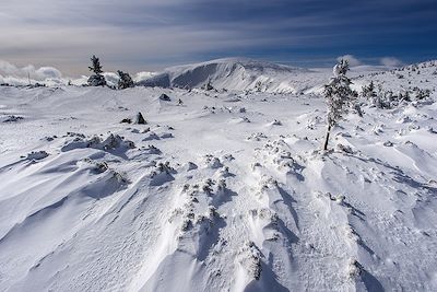 Région des Sudètes enneigée - Pologne