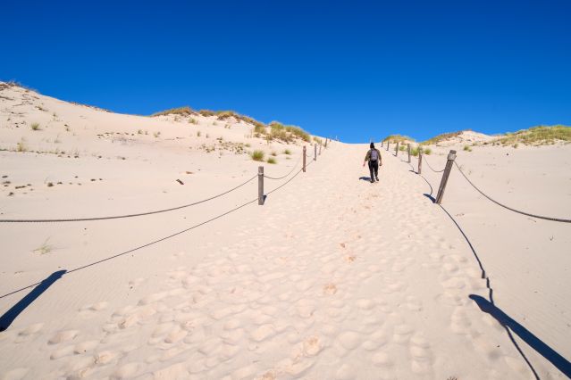 Image Des Carpates aux dunes de la mer Baltique