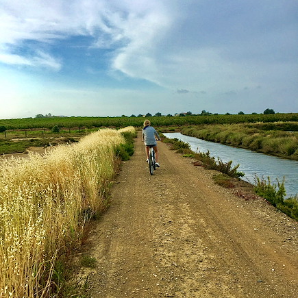 Vélo Portugal Algarve
