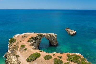 Paysage sur la route Vicentine - Portugal