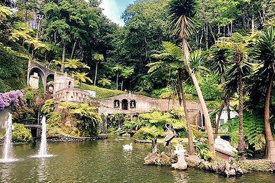 © Marion Rimbaud - Jardin botanique tropical de Funchal - Madère - Portugal Jardin botanique tropical de Funchal - Madère - Portugal