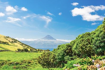 Voyage Açores (Portugal)