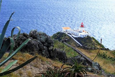 © Isabelle Arnoux - Santa Maria - Açores - Portugal Santa Maria - Açores - Portugal