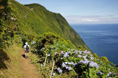 © Rui Vieira / Turismo de Acores - Chemin de randonnée - Faja de Sao Joao - Sao Jorge - Acores - Portugal Chemin de randonnée - Faja de Sao Joao - Sao Jorge - Acores - Portugal