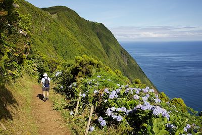 Chemin de randonnée - Faja de Sao Joao - Sao Jorge - Acores - Portugal