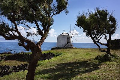© Carl Uytterhaegen / Turismo de Acores - Moulin traditionnel - Corvo - Acores - Portugal Moulin traditionnel - Corvo - Acores - Portugal