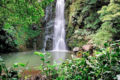 © Mauricio Abreu / Alamy / Hemis - Cascade do Cruzal - Sao Jorge - Açores - Portugal Cascade do Cruzal - Sao Jorge - Açores - Portugal