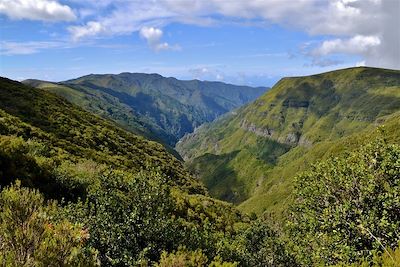 © Marinette Villière - Madère - Portugal Madère - Portugal