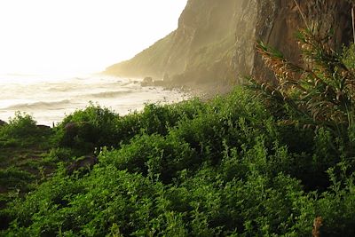 © Guillaume Mousset - Calheta - Paul do Mar - Madère - Portugal Calheta - Paul do Mar - Madère - Portugal