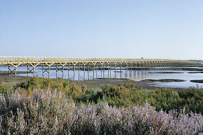 Voyage Patrimoine et Nature Portugal