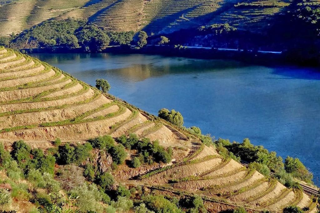 Voyage Sur les rives du fleuve d'or dans le Douro 1