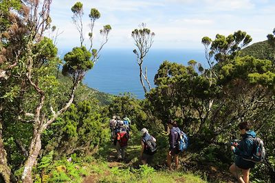 © Charles Polidori - Sur le chemin des fajas - Île de Sao Jorge - Les Açores - Portugal Sur le chemin des fajas - Île de Sao Jorge - Les Açores - Portugal