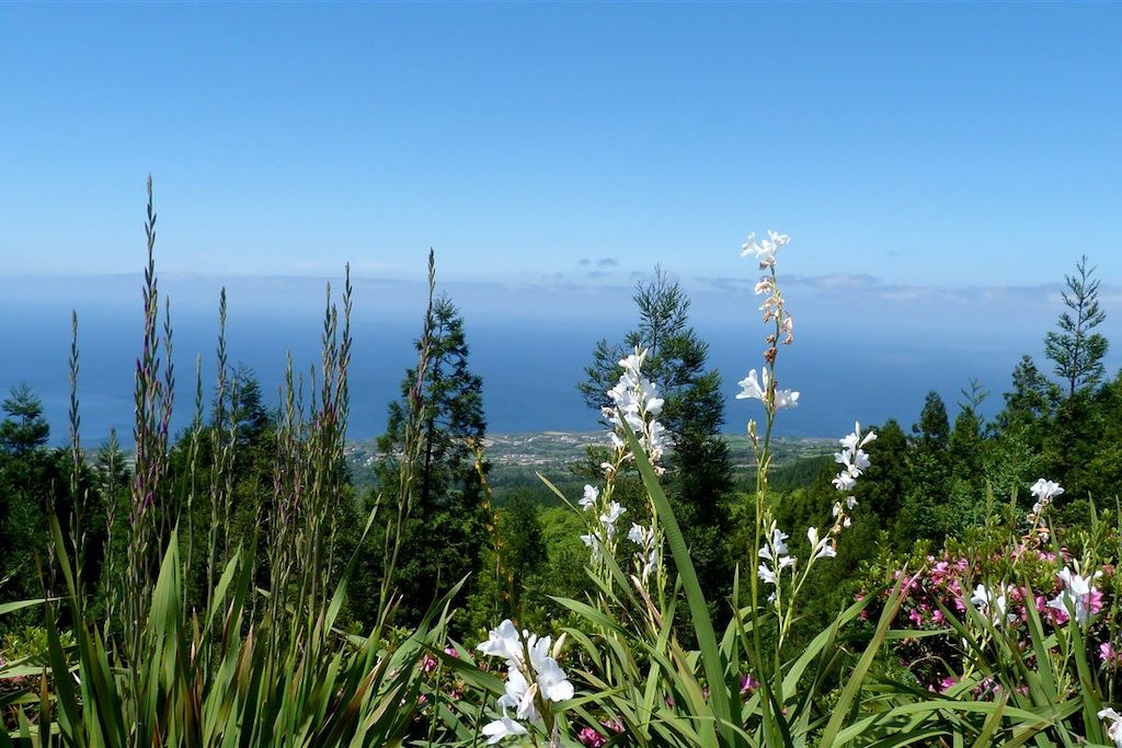 Voyage Douceurs océaniques à São Miguel 3