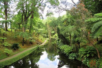 © Clara Lambert - Terra Nostra - Furnas - Açores - Portugal Terra Nostra - Furnas - Açores - Portugal