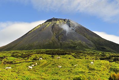 © Maurico de Abreu / Turismo de Acores - Le Pico - Pico - Acores - Portugal Le Pico - Pico - Acores - Portugal