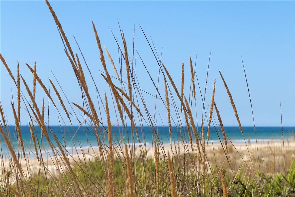 Voyage L'Algarve des trois printemps 3