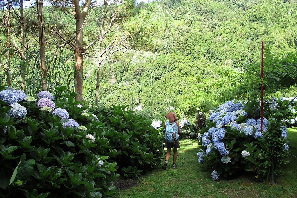 Voyage Lacs et volcans de Sao Miguel 1