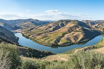 Vue sur les vignobles en terrasses de la vallée du Douro - Portugal